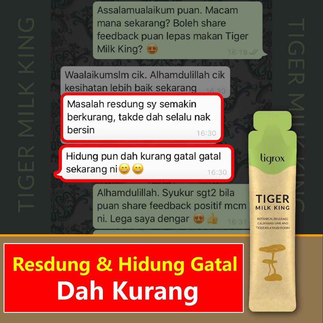 Milk king tiger TIGROX TIGER